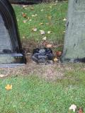 image of grave number 556364
